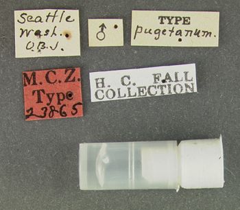 Media type: image;   Entomology 23865 Aspect: labels